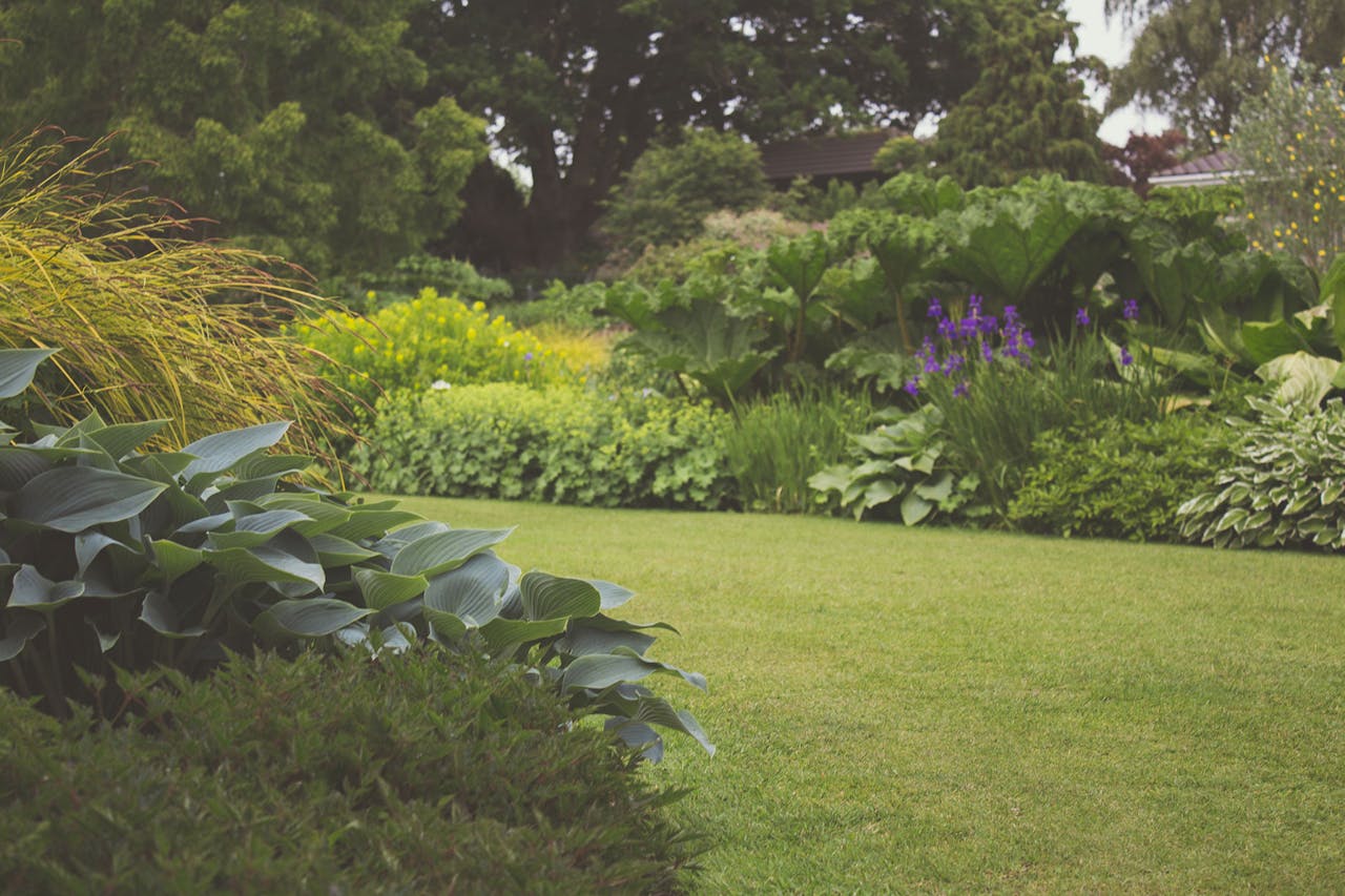 Beautiful maintained garden