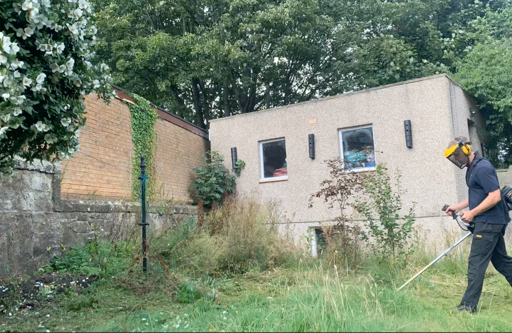 Before and after overgrown area clearance